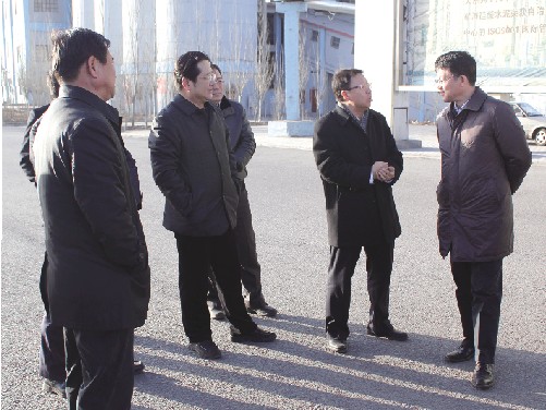 乌海市市长毕力夫一行到我集团工业循环经济园参观调研
