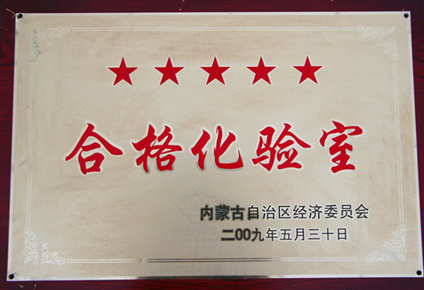 2009年内蒙古千峰水泥公司合格化验室