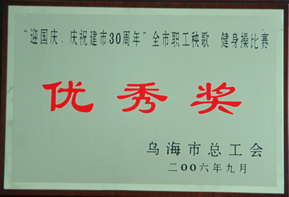 2006年庆祝建市三乌海市十周年全市职工秧歌健身操比赛优秀奖