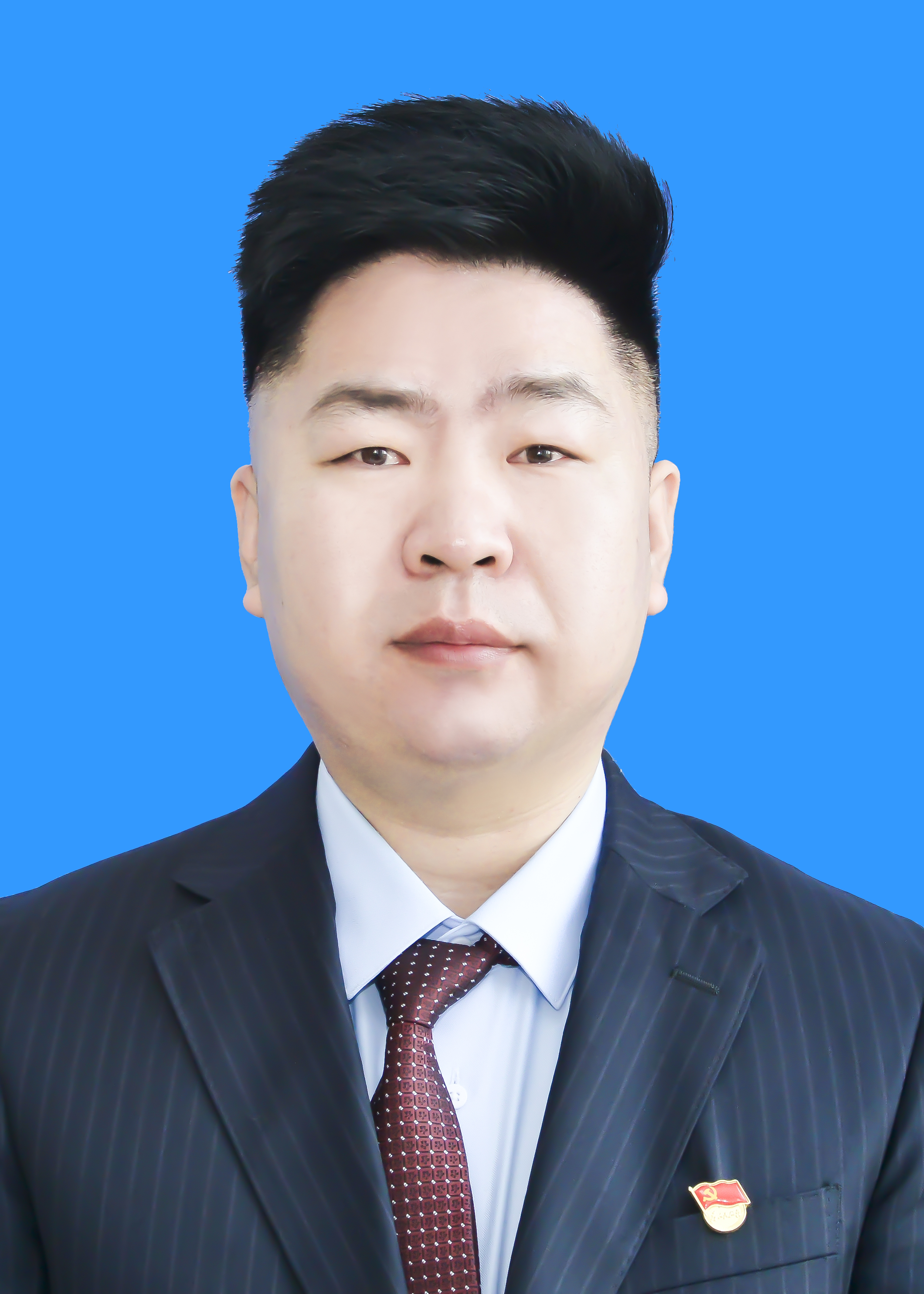 武    杰  党委副书记